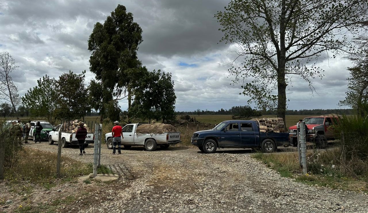 Detienen a cinco hombres por sustracción de madera utilizando camionetas en Río Bueno