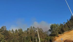 Después de cuatro días de combate logran controlar incendio forestal Villa Austral en Valdivia