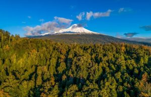 Cierran zona sur del Parque Nacional Villarrica por riesgos ante altas temperaturas en Los Ríos