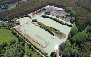 Dos empresas son multadas por extraer aguas sin autorización en Máfil y Mariquina
