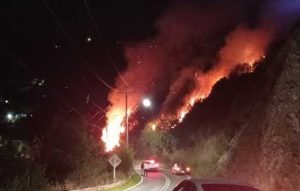 Fuego en pastizales de la costa valdiviana generó amplio despliegue de equipos de emergencia