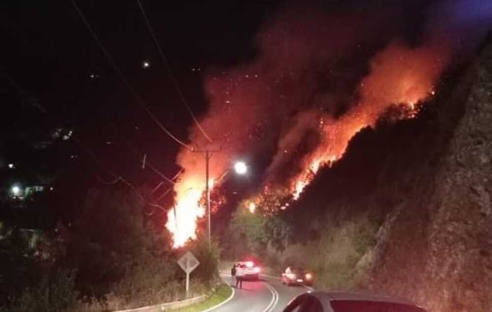 Fuego en pastizales de la costa valdiviana generó amplio despliegue de equipos de emergencia