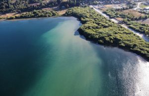 Ofician a la Fiscalía ante eventual daño ambiental por mancha en el lago Panguipulli