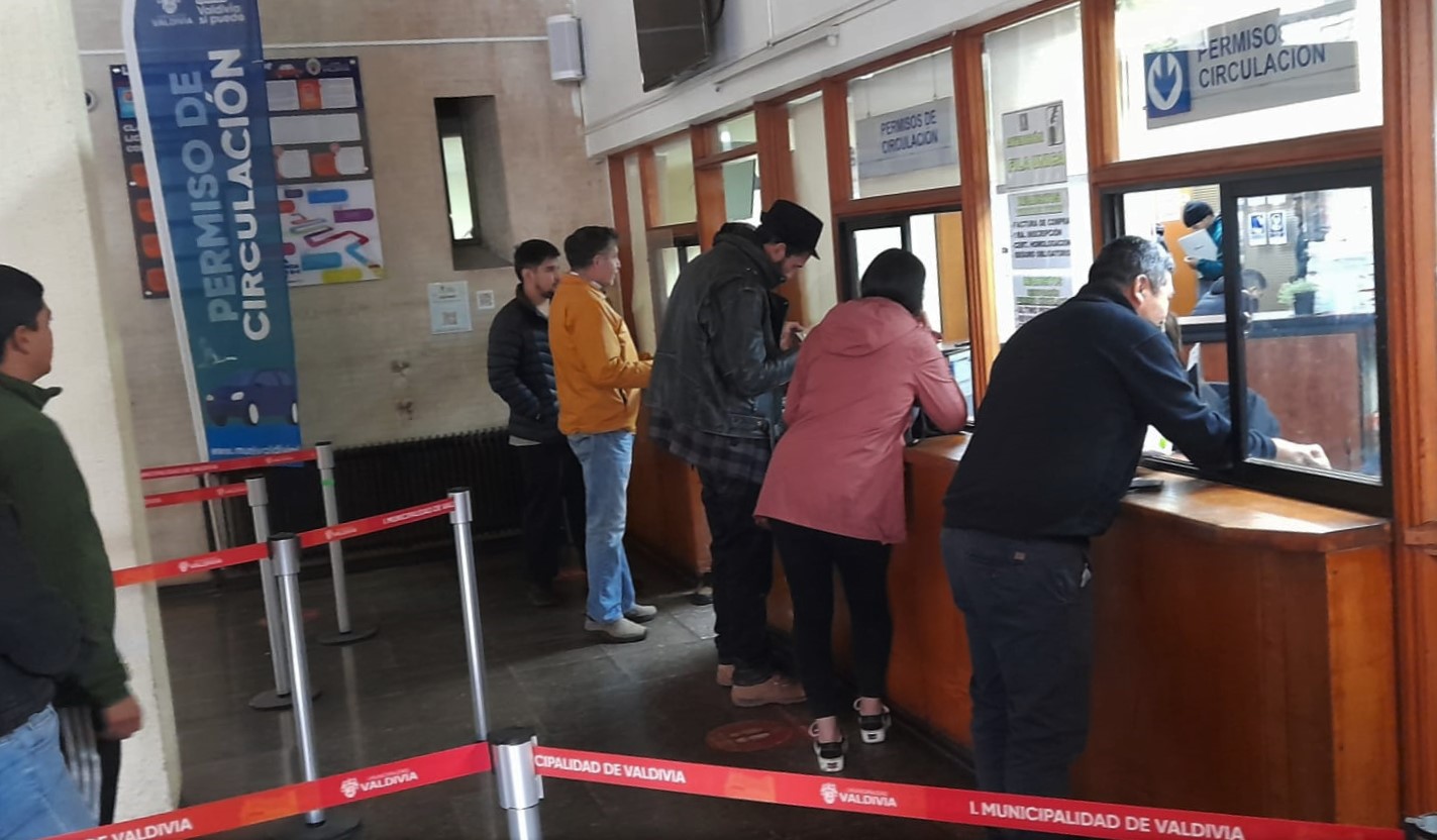 ¿Dónde realizar el trámite?: Extienden horario para renovar permisos de circulación en Valdivia