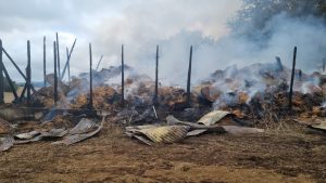 Dueño de fundo afectado por ataque incendiario en La Unión: “La agricultura sigue en desamparo del Estado”