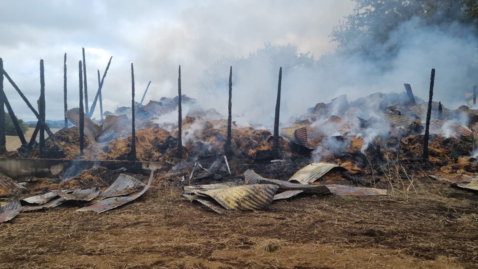 Dueño de fundo afectado por ataque incendiario en La Unión: “La agricultura sigue en desamparo del Estado”