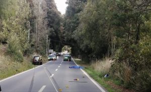 Mujer murió después de ser atropellada por un automóvil en una ruta interior de Panguipulli