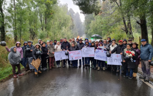 Emplazan al Gobierno: Muerte de adulta mayor gatilló molestia por estado de ruta en Panguipulli