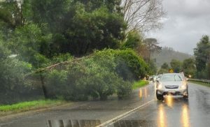 Más de 10 mil clientes sin electricidad por intenso temporal en Los Ríos