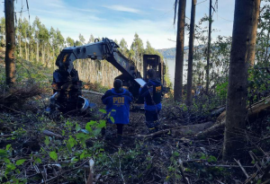 Gobierno interpuso acciones legales por ataque incendiario en Los Lagos