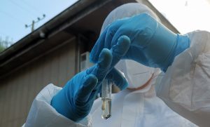 Gripe aviar llega a otra comuna en Los Ríos: Se identificó el virus en loros choroy de Panguipulli