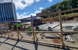 Alcaldesa Amtmann anuncia querella contra conductor que destrozó cerco en plaza de Valdivia