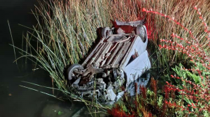 Conductora se encontraba en estado de ebriedad: Un vehículo cayó a las orillas del río en Valdivia