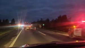 Encontraron su cadáver en el asfalto: Joven habría sido atropellado en la ruta Valdivia-Mariquina