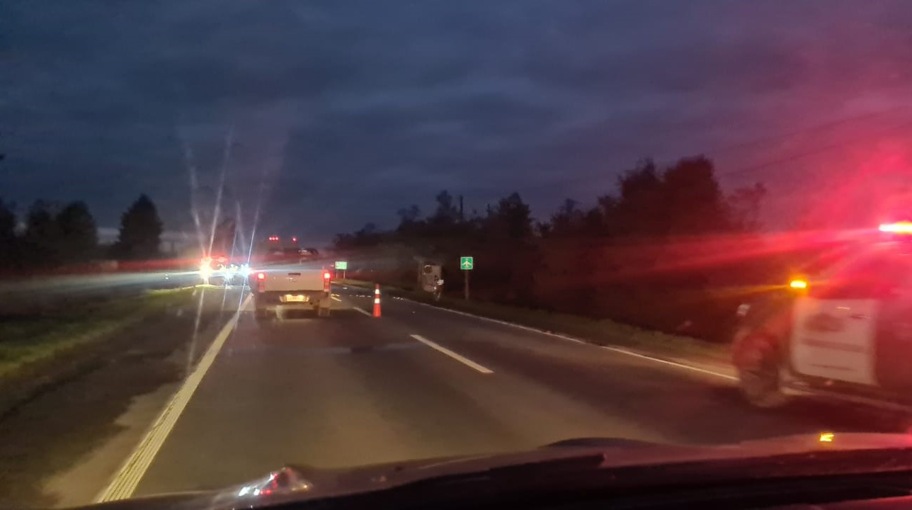 Encontraron su cadáver en el asfalto: Joven habría sido atropellado en la ruta Valdivia-Mariquina