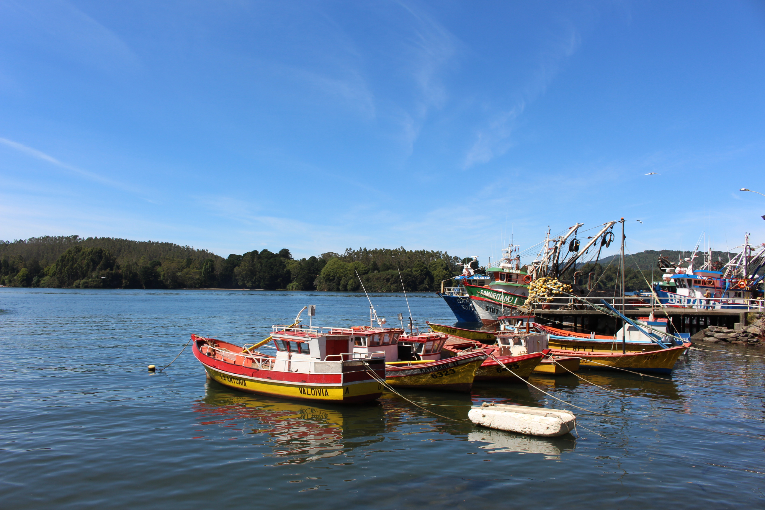 Cincuenta mujeres vinculadas a la pesca artesanal de Los Ríos comenzaron capacitación