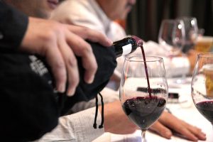 "Gran Salón de Medallas": Valdivia será la capital del vino en feria Catad´Or 2023