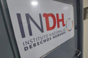 INDH solicitará al Gobierno incluir a Los Ríos en la Comisión para la Paz y Entendimiento