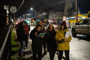 “Postes Inteligentes”: Los dispositivos con que pretenden aumentar la seguridad en el centro de Valdivia