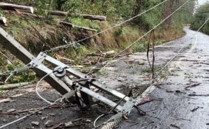 “Torbellino” provocó caída de árboles y dejó a más de cien clientes sin energía eléctrica en Futrono