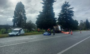 Dos víctimas fatales por colisión de automóviles en la ruta entre Río Bueno y Lago Ranco