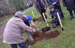“Árboles por la Memoria” homenajeó a víctimas de la Dictadura Cívico-Militar en Valdivia