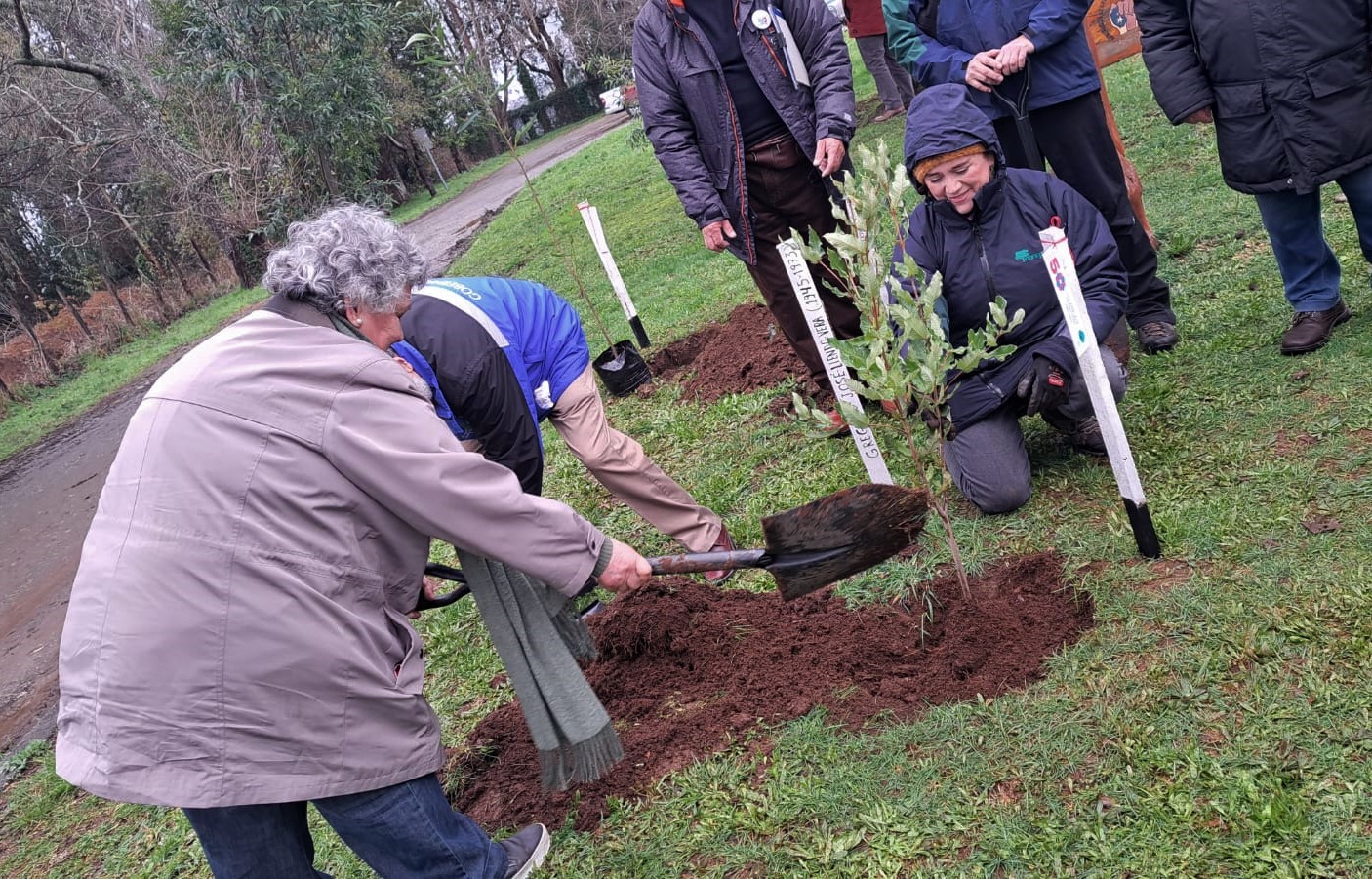“Árboles por la Memoria” homenajeó a víctimas de la Dictadura Cívico-Militar en Valdivia