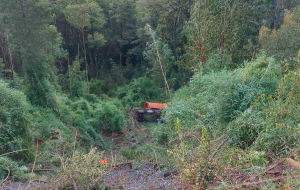 Conductor de camión tolva muere luego de caer a una quebrada en la ruta Valdivia-Corral