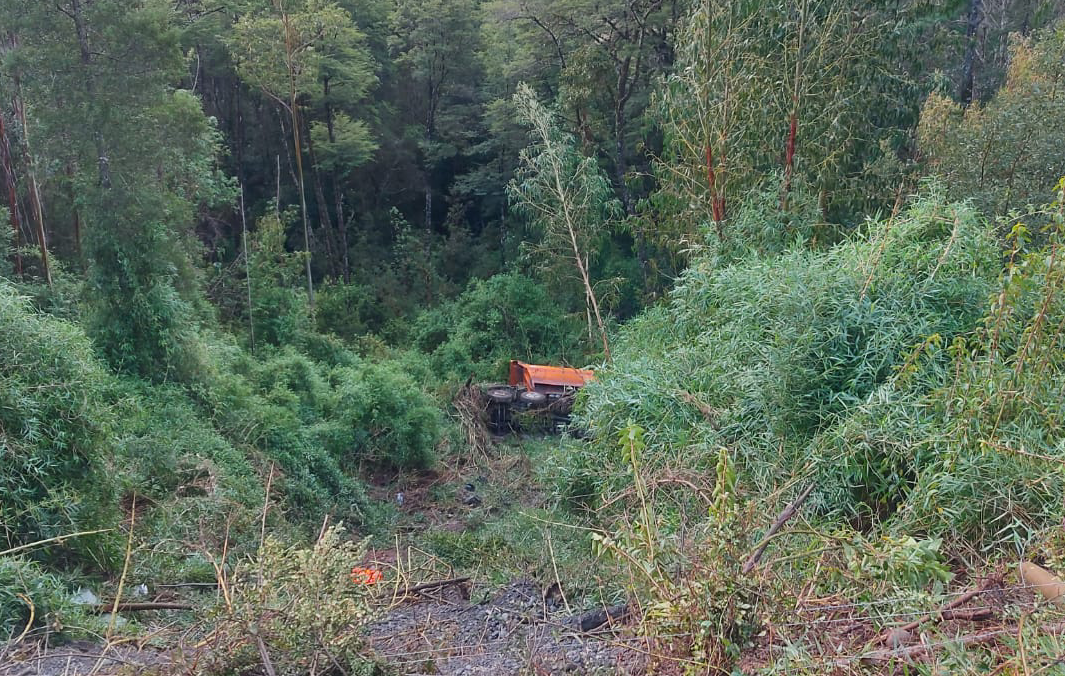 Conductor de camión tolva muere luego de caer a una quebrada en la ruta Valdivia-Corral