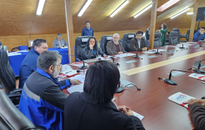 Los Ríos: Crean consejo de capacitación laboral con foco en el diálogo social y la descentralización
