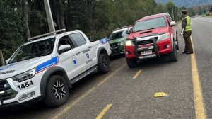 Funcionarios municipales y Carabineros desarrollarán patrullajes conjuntos en Panguipulli