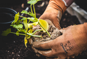 Recursos que superan los $5 mil millones son destinados para fortalecer la agricultura en Los Ríos