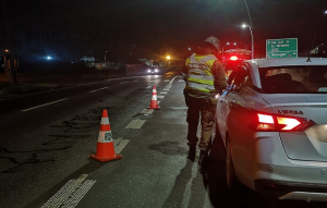 Medio centenar de detenidos ha dejado el refuerzo de los puntos de control en rutas de Los Ríos