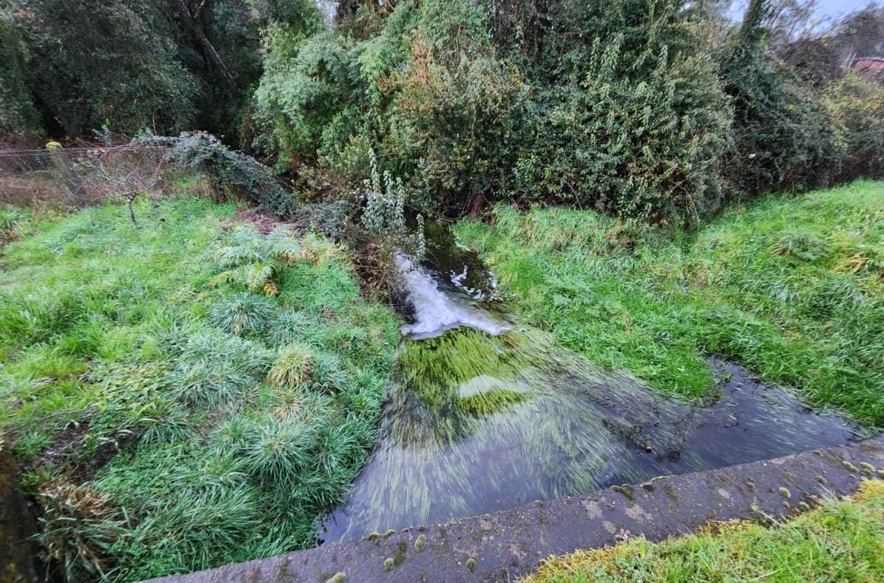 Vecinos denuncian eventual contaminación de estero por obras de planta de tratamiento en Mariquina