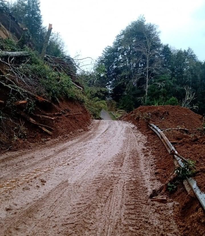 Despejan ruta tras derrumbe en el sector El Boquete de Futrono