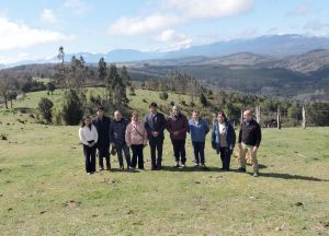 A 30 años de la Ley Indígena: En Los Ríos se conmemoró a la primera comunidad que recibió tierras