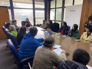 Anuncian proyecto para mejorar los kioskos del centro de Valdivia
