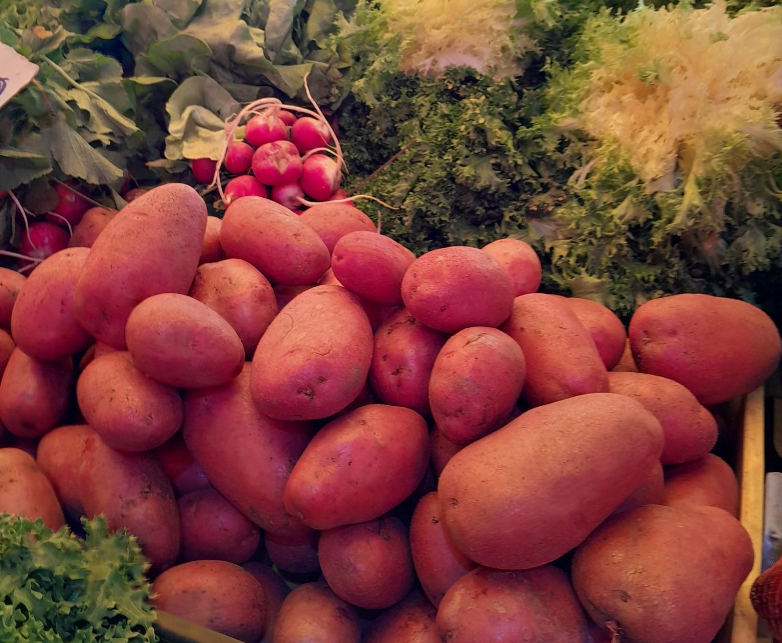 Realizan fiscalización de venta y transporte de papas en la región de Los Ríos