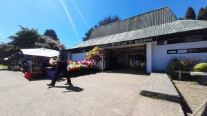 Anuncian plan de seguridad reforzado por alza de visitantes a cementerios este 1 de noviembre en Valdivia