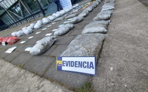 Incautan más de $600 millones de droga en Valdivia: Un hombre quedó en prisión preventiva