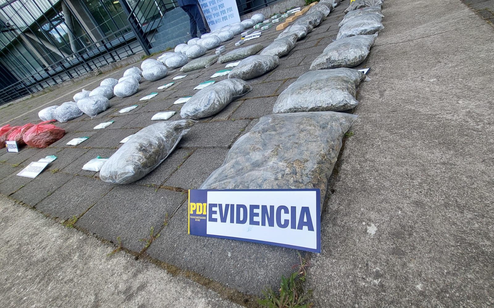 Incautan más de $600 millones de droga en Valdivia: Un hombre quedó en prisión preventiva