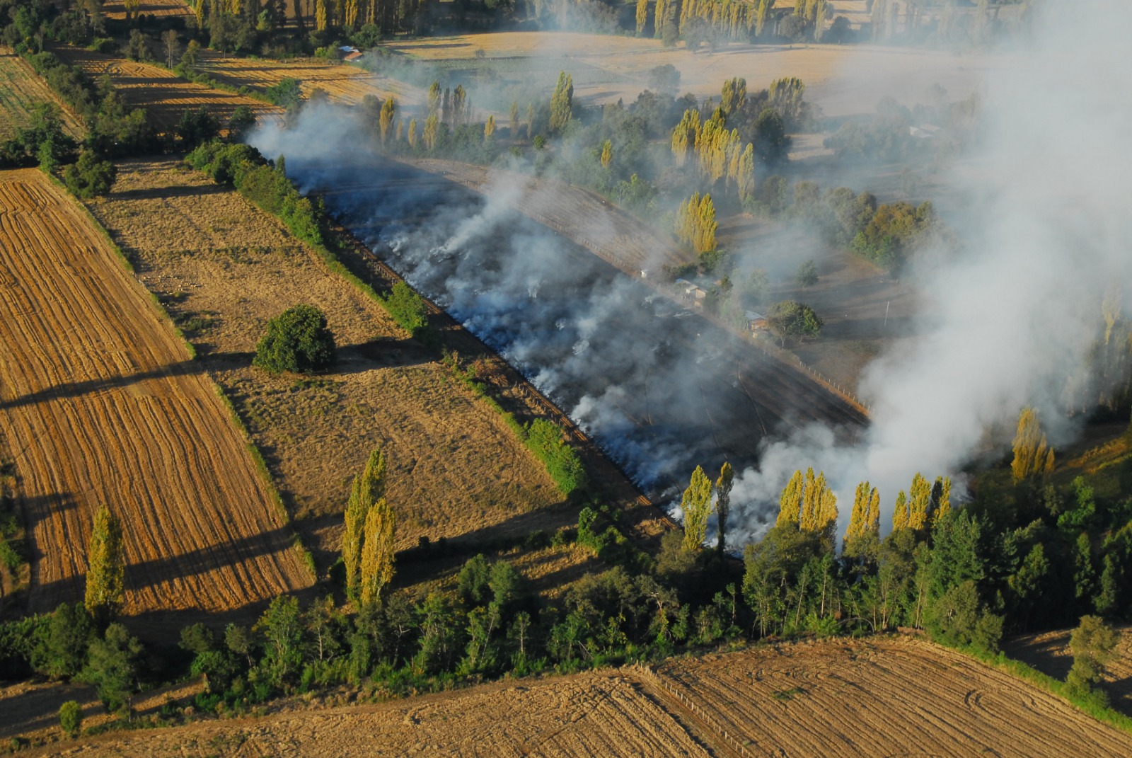 A contar de diciembre: Anuncian período de prohibición de quemas agrícolas en Los Ríos