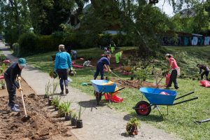 Municipio de Valdivia plantará especies arbóreas en lugares donde existen microbasurales