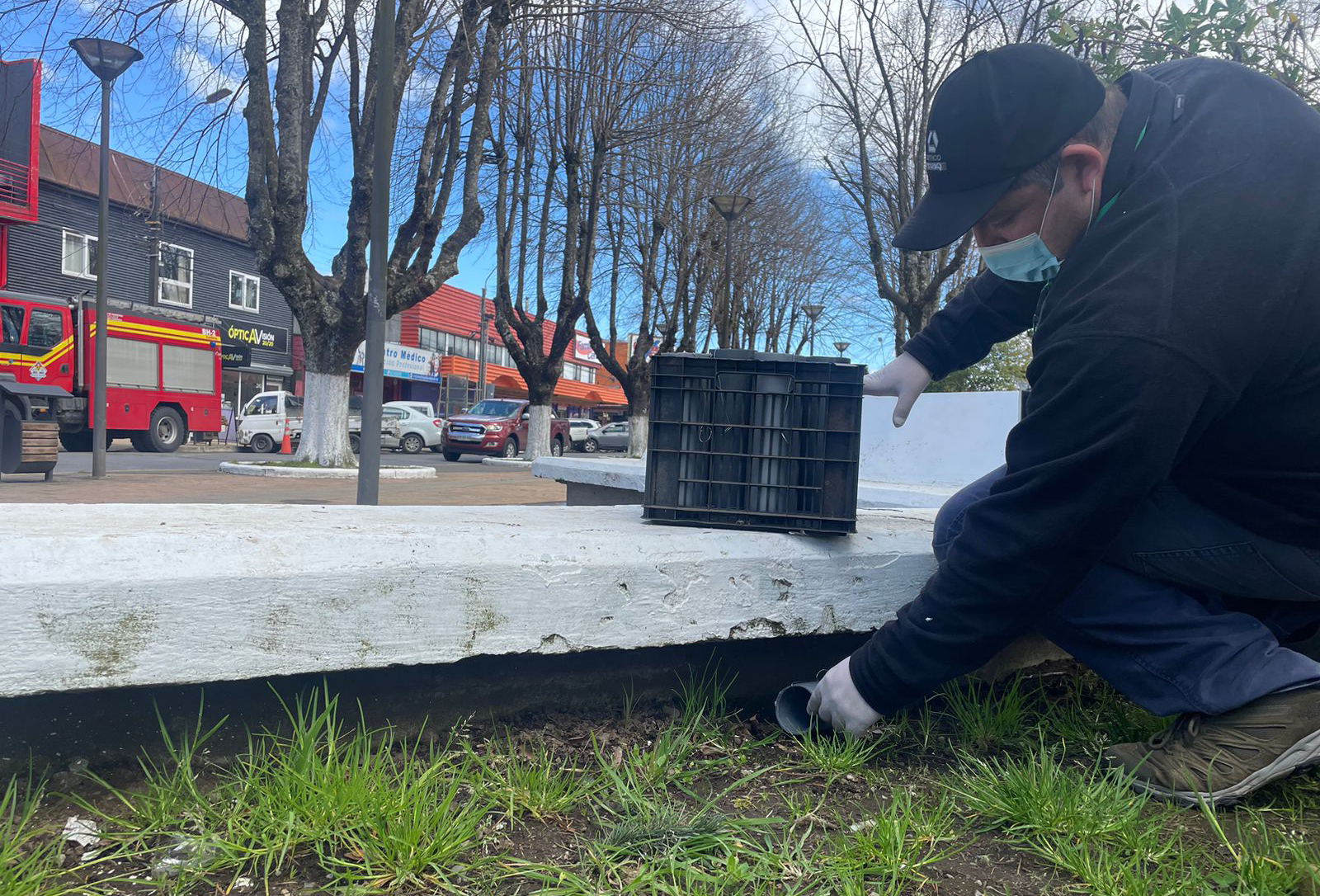 Municipalidad de Paillaco activó un plan de control ante la presencia de roedores en la plaza