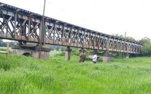 Encuentran cadáver de una mujer en Río Bueno