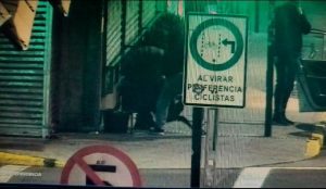 Denuncian en Fiscalía presunto maltrato animal a perros comunitarios en pleno centro de Valdivia
