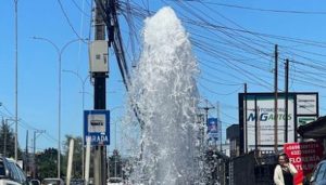 Llaman a denunciar: Grifo terminó destruido tras un accidente de tránsito en Valdivia