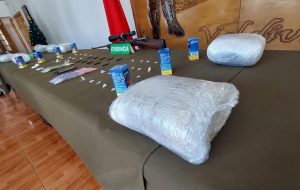 Plan Regional Contra el Crimen Organizado permitió la incautación de casi 500 kilos de droga