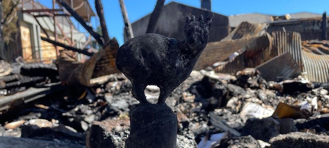 Rescatan de las cenizas de incendio al primer "pudú" del Festival de Cine de Valdivia