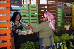 Expo Mundo Rural Los Ríos 2024 se tomará el Parque Saval de Valdivia del 19 al 21 de enero